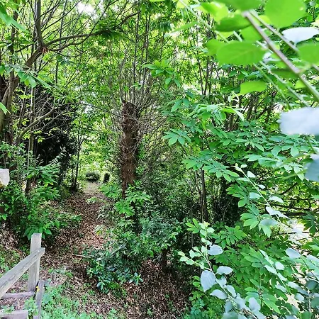 Luci Sul Golfo Λα Σπέτσια