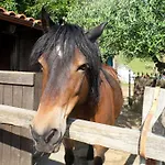 Luci Sul Golfo