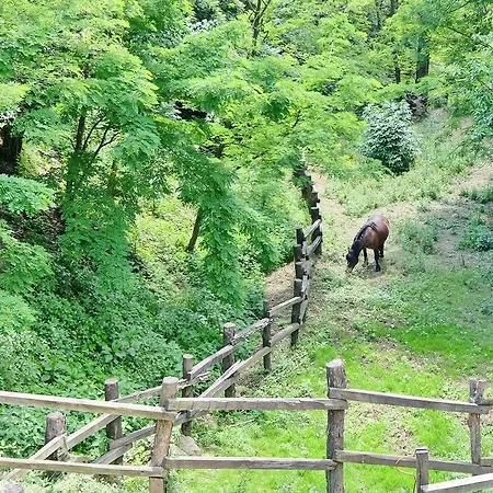 Luci Sul Golfo Gasthof 3*