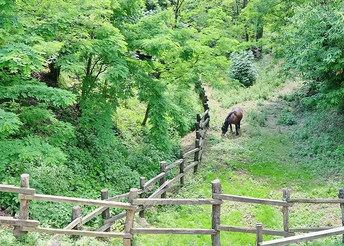 Luci Sul Golfo Vendégház 3*